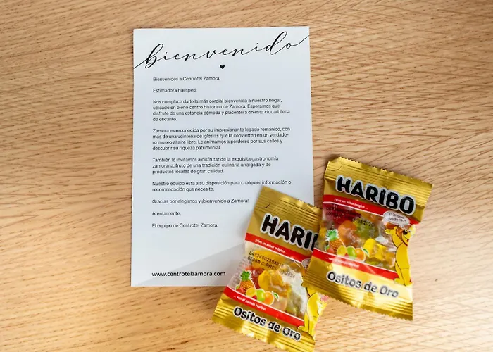 Centrotel Gasthuis 3*